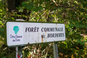 forêt communale de Bordères